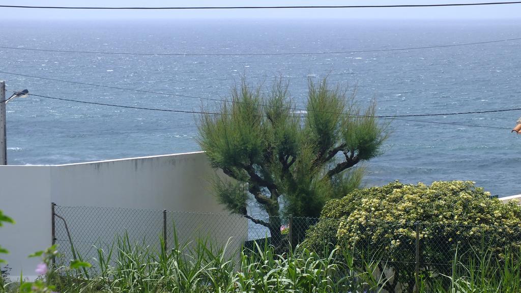 Santa Cruz Ocean Apartment - II Exterior foto